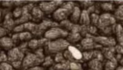 See what chia seeds do for your body and learn how you can naturally improve your wellness with this amazing superfood