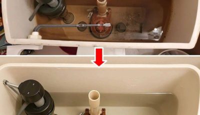 How to Clean Your Toilet Flush and Make It Look Like New