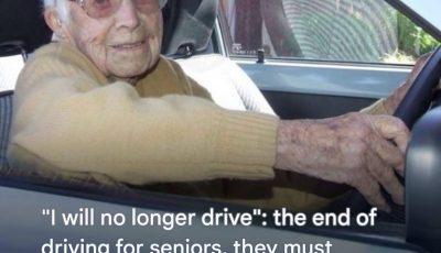 Senior Driving Licence: A Complete Guide to Obligations and Aptitude