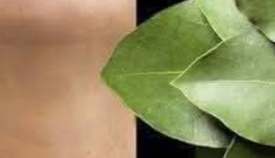 Bay Leaf: The Natural Wrinkle Eraser for Ageless Beauty!