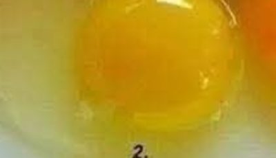 How to Tell If an Egg Came from a Healthy Chicken: 6 Signs of Superior Quality