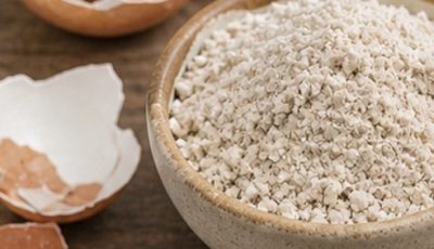 When your knee loses collagen, eggshells are a lifesaver. Recipe in the fir
