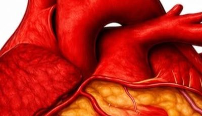Why Drinking Water on an Empty Stomach Is So Beneficial