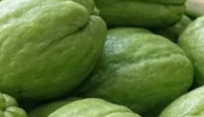 Discover How to Add Chayote to Your Daily Routine to Support Natural Health and Wellness