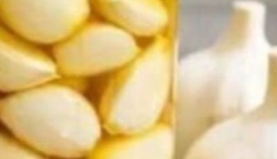 El Garlic: The Natural Antibiotic That Wages War on Infections