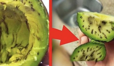 Does your avocado have dark spots? Don’t throw it away! Here’s why