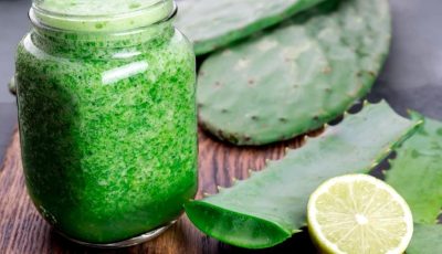 Nopal Benefits and Naturally Healthy Recipes