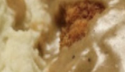Crispy Schnitzel with Mashed Potatoes & Gravy