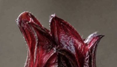 JAMAICAN FLOWER JELLY WITH CINNAMON AND CLOVES