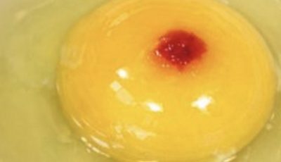 I just cracked an egg to make breakfast and saw this red spot in the yolk. It really grossed me out and now I’m wondering if I should toss the whole carton or just scoop it out and cook it anyway. Wha