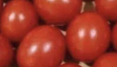 Eye Test!! Count The Tomatoes Is It 12 or 13 ???