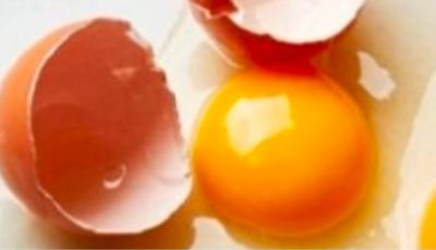 How to Tell If An Egg Has Gone Bad!!
