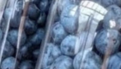 How to Preserve Fresh Blueberries at Home for Months