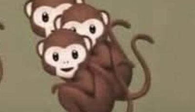 The Number Of Monkeys You See Determines If You’re A Narcissist