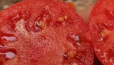 Women drinking tomato juice
