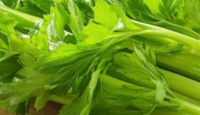 Cleanses the Liver 150 Times More Powerful Than Garlic and Lemon: Grandma’s Miracle Recipe