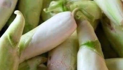 The Most Parasite-Contaminated Vegetable? Experts Warn About Hidden Risks