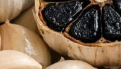 Garlic Kills 14 Types of Bacteria: The Natural Antibiotic You Need to Know
