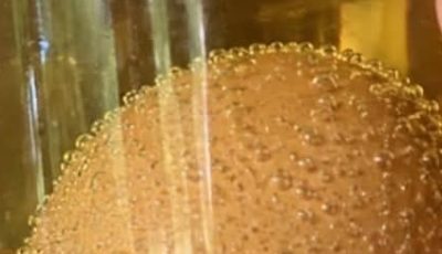 Egg shell Calcium Triggers a Knee Reset When Collagen Starts Fading