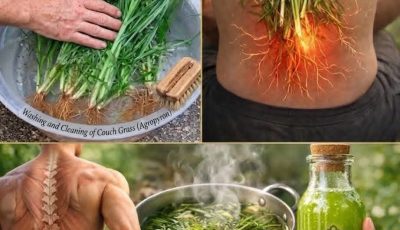 25 pounds of grated glass cleavers to keep them natural