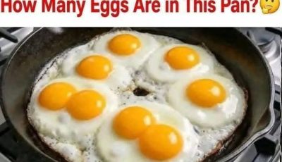 How Many Eggs Are in This Pan?