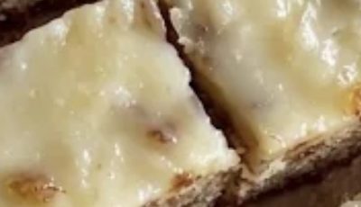 German Honey Bars: A Traditional Lebkuchen Recipe