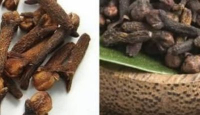 4 Secret Uses of Clove Spice You Need to Know