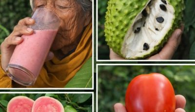 Natural Detox Juice with Soursop, Tomato, and Guava