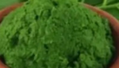 Discover the Power of the Leaf That Will Transform Your Health!