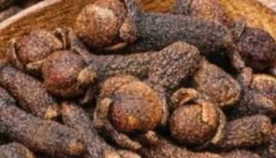 The Protective Spice: Exploring the Natural Wellness Potential of Cloves