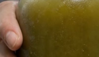 Garlic, Apple Cider Vinegar, and Honey Mix