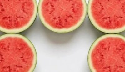 How Many Watermelons Are In This Picture? 90% OF PEOPLE GET IT WRONG.