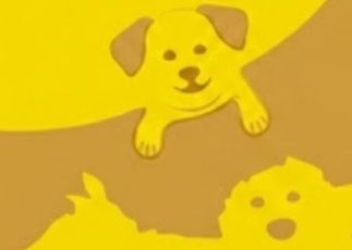 The number of dogs you see determines your mental age